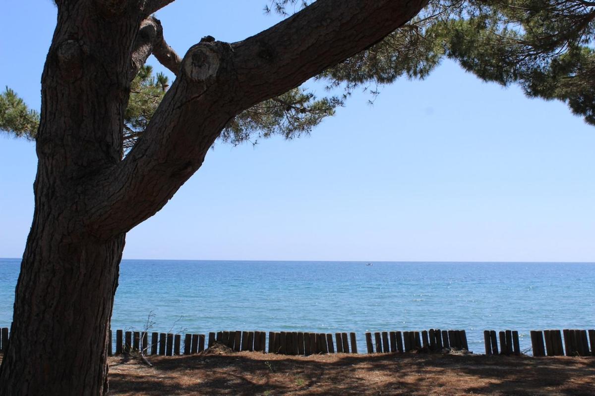 הוילה סן-ניקולאו Bord de mer, pieds dans l'eau, vue panoramique מראה חיצוני תמונה